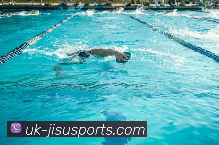 App Interface Preview